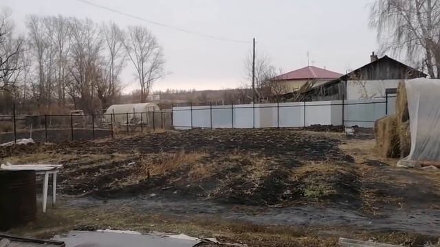 ЖАРЮ ОЛАДЬИ ?ПОКУПКИ ?КУДА УЛЕТАЛИ? смотреть онлайн
