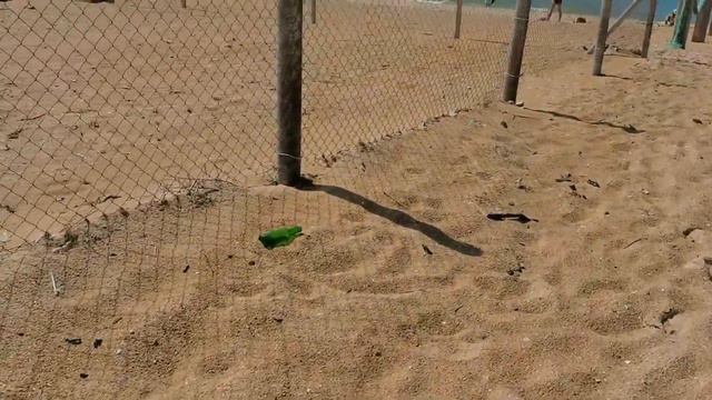 Идем купаться. Море волнуется. смотреть онлайн
