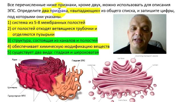 Видео-объяснение для Биоробота