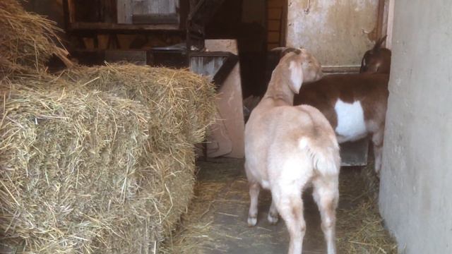 Мои мечты и планы смотреть онлайн