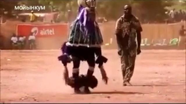 Африканская чечётка смотреть онлайн