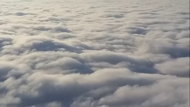 Преподобный Серафим Саровский. Житие, жизнеописание