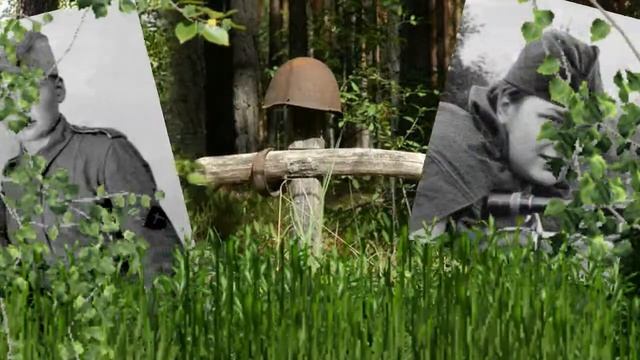 А зори тихие в берёзовом краю... смотреть онлайн