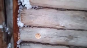 Простое сверло перо по дереву своими руками.