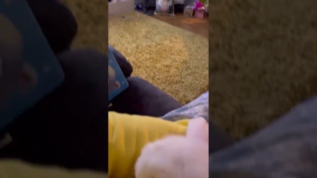 frankie’s rabbits смотреть онлайн