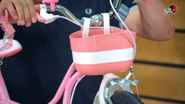 Детский велосипед Royal Baby Little Swan Steel 16