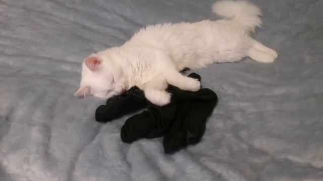 Тысяча и одна поза для сна. смотреть онлайн