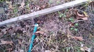 Лайфхак. Как выкачать на зиму остатки воды из трубы в земле простой приблудой