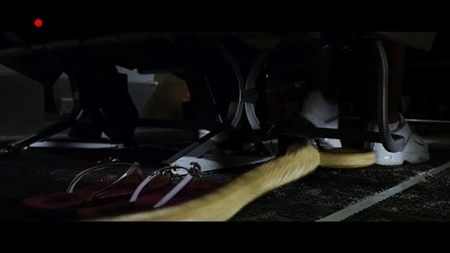 SNAKES ON A PLANE | Teaser trailer italiano смотреть онлайн