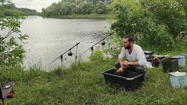 Рыбалка в красивом диком месте. Досадный сход карпа. смотреть онлайн