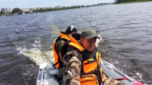 Обкатка мотора Hidea HD 5FHS