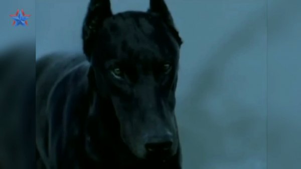 Madonna - Frozen (Extended Club Mix)