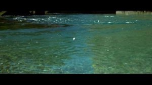 Группа ПИЦЦА -  На Всю Планету Земля (Официальное видео).mp4