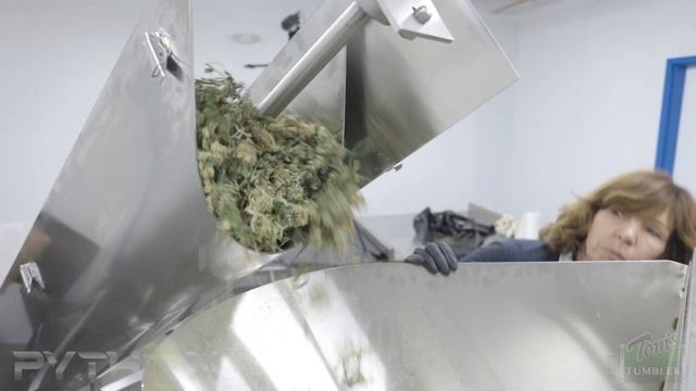 Introducing the Python 1200 смотреть онлайн