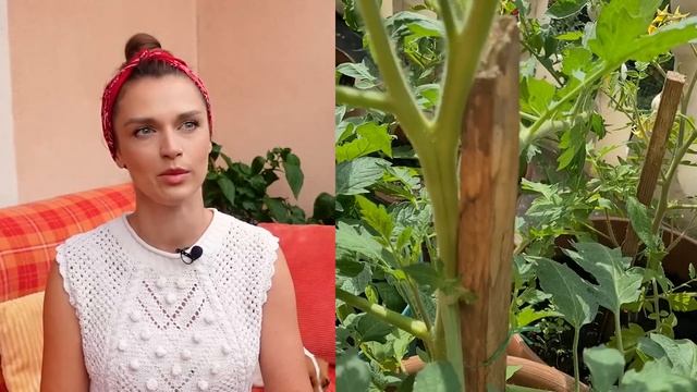 НОВЫЕ ПИТОМЦЫ | Я ВПЕРВЫЕ ПОСАДИЛА 300 КУСТОВ ПОМИДОРОВ | Томаты с нуля | Как Выростить Помидоры? смотреть онлайн