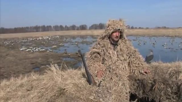 Охота на гуся, гусиная охота 2011