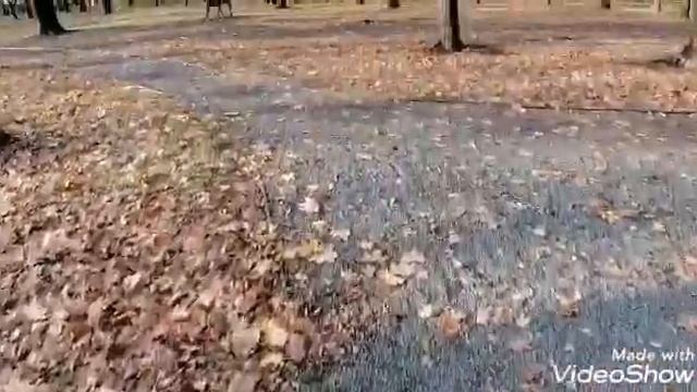 Отличный выходной денек/прогулка по парку "Быханов сад" смотреть онлайн
