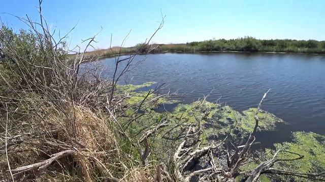 Поменяли 4 точки , а её всё нет и нет .Река Ишим гибнет. смотреть онлайн