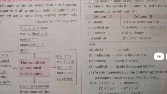 an encounter of a special kind 10th class english workshop | neveneet publication pdf also смотреть онлайн