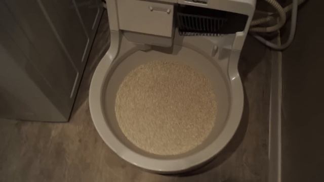 Кошачий унитаз смотреть онлайн