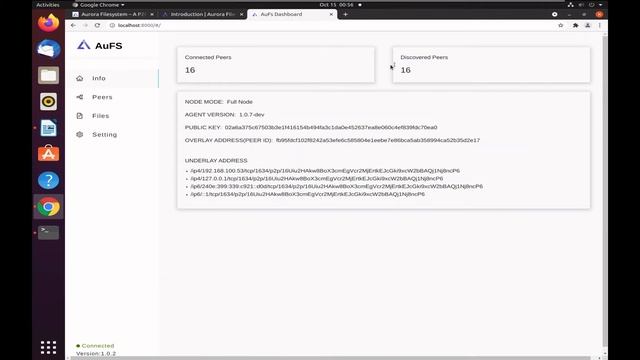 How to Gain A Deep Insight into the AuroraFS Network смотреть онлайн