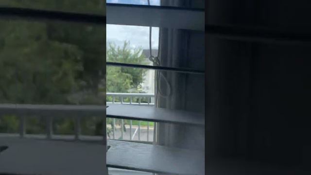 315-20310 Grand Magnolia смотреть онлайн