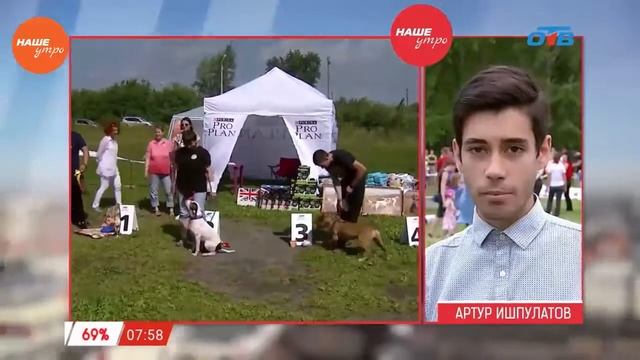 Наше УТРО на ОТВ – гуманное отношение к животным смотреть онлайн