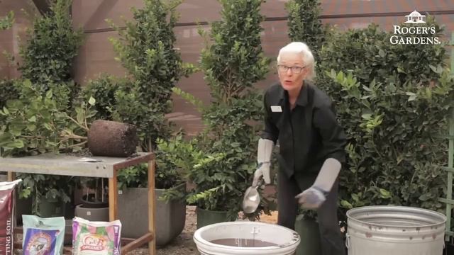 Gardening 101 Series | How to Plant & Maintain a Camellia смотреть онлайн