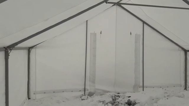 Ангар тентовый 5,3х8м для фермы, свинарника смотреть онлайн