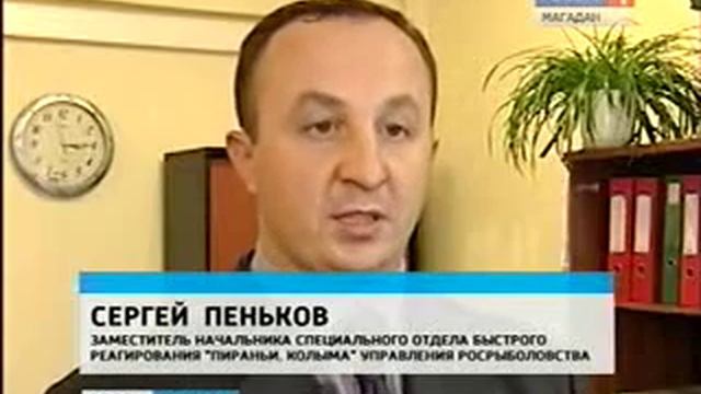 Нелегально добытая икра оказалась с душком. смотреть онлайн