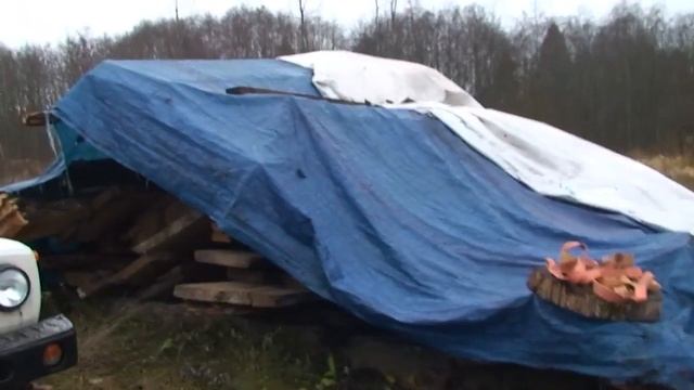 Вакуумная сушильная камера BKS V6-10. смотреть онлайн