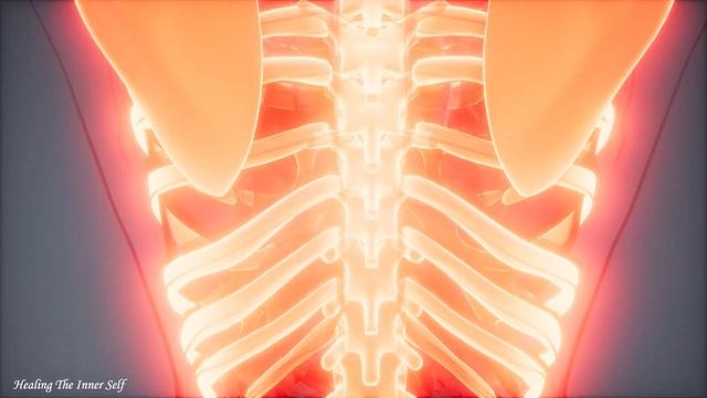 432Hz- Whole Body Healing Frequency, Melatonin Release, Stop Overthinking, Worry & Stress смотреть онлайн