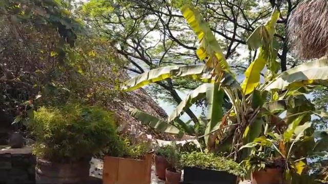 Поездка в Никарагуа - Отель Маримба на берегу озера Опойо [Trip to Nicaragua - Casa Marimba] смотреть онлайн