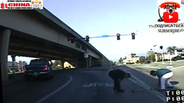 Люди доблестно спасают животных