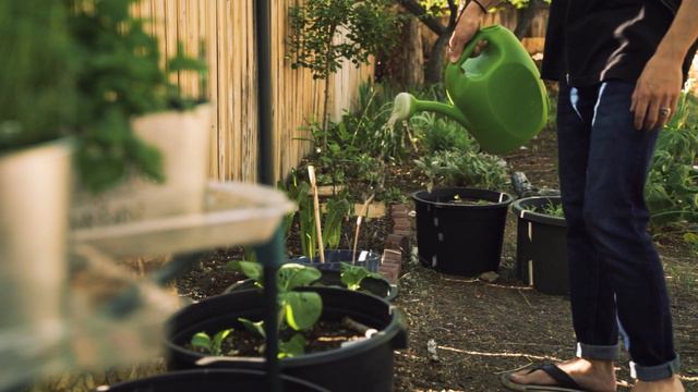 my fantasy archetype ⚔ the Hero's bullet journal смотреть онлайн