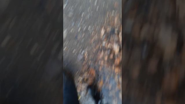 ЧТО МОЖНО КУПИТЬ НА 30 РУБЛЕЙ В МАГАЗИНЕ ВОСХОД (ЗА ПАРКОМ)видео Дани. смотреть онлайн