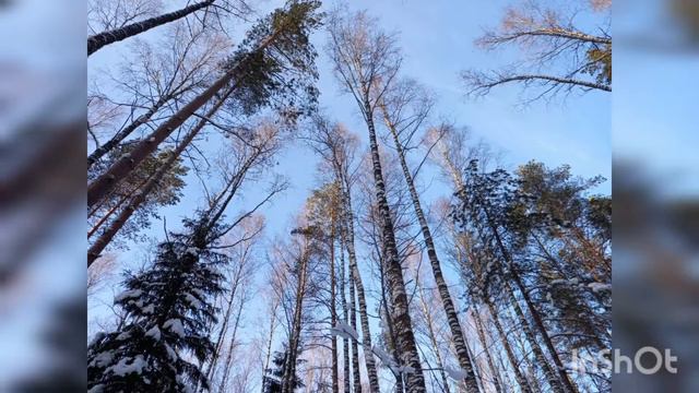 Счастья в Новом Году!!! смотреть онлайн