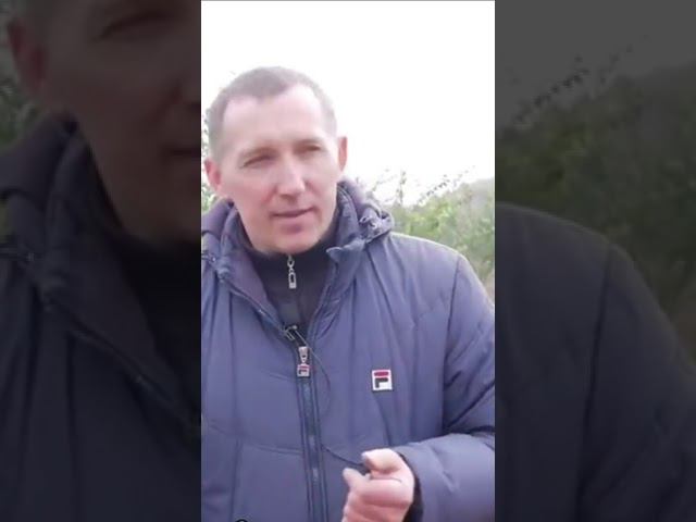 Саженцы с ЛИСТЬЯМИ смотреть онлайн