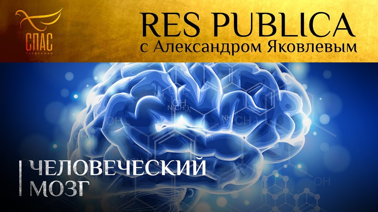 RES PUBLICA: «ЧЕЛОВЕЧЕСКИЙ МОЗГ»