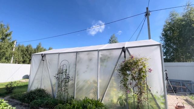 Дачный влог. Уборка и сбор урожая в теплице! смотреть онлайн