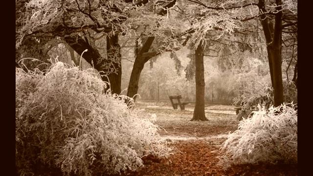 Вальс ноября смотреть онлайн