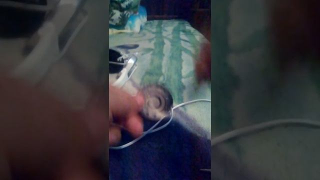 Я купил наушники из фикспрайса смотреть онлайн