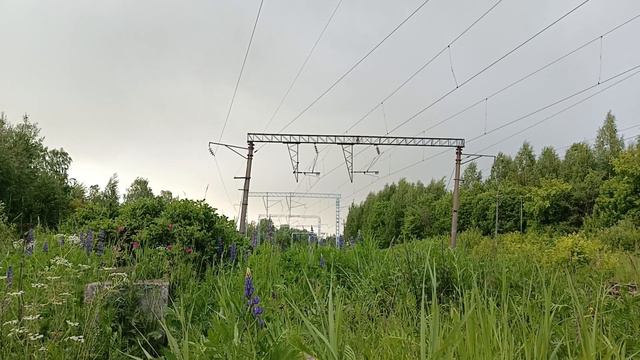 Электровоз ЧС4Т-302 с пассажирским поездом смотреть онлайн