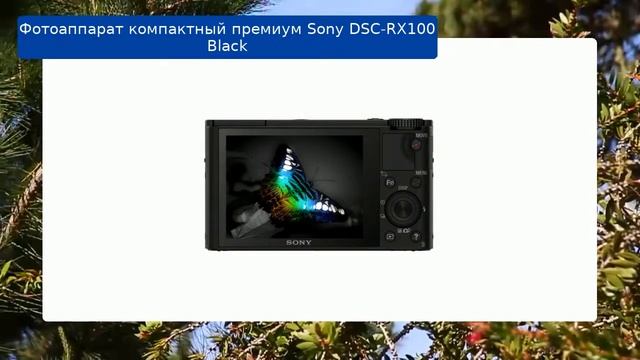 Фотоаппарат компактный премиум Sony DSC-RX100 Black обзор и отзыв смотреть онлайн