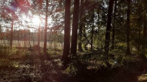 Русский язык. Диктант для 6 класса