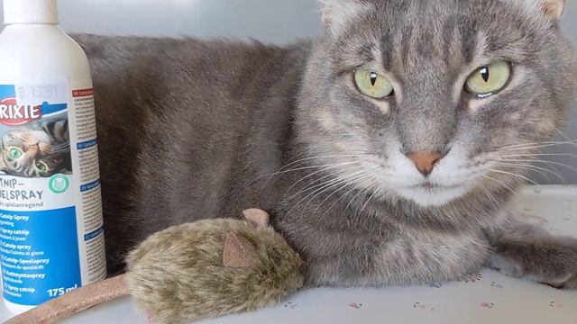 Trixie спрей кошачья мята для кошек