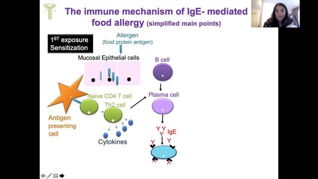 IgE-mediated food allergy explained смотреть онлайн