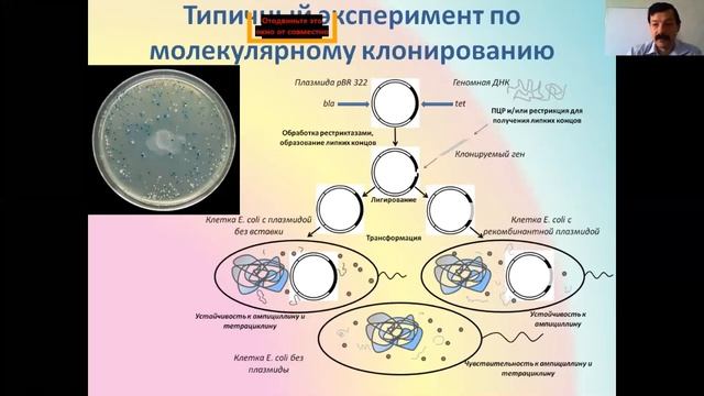 А что сейчас может биотехнология? Это просто фантастика! 10.10.2020 смотреть онлайн