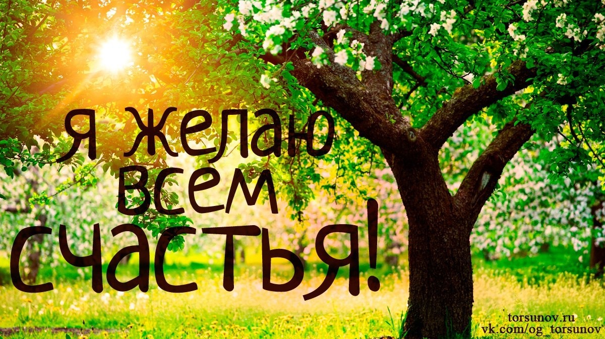 Онлайн-семинары «Благость» Олега Торсунова