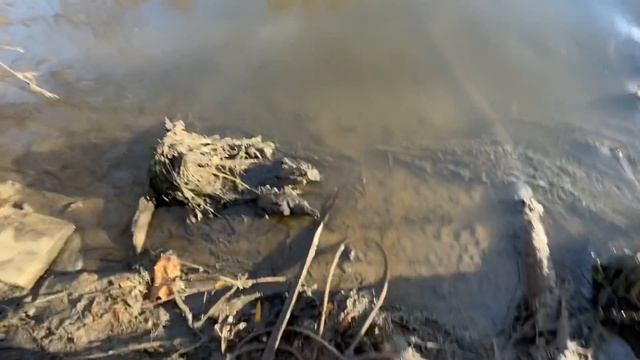 Нашёл Мотороллер в воде на Поисковый магнит смотреть онлайн